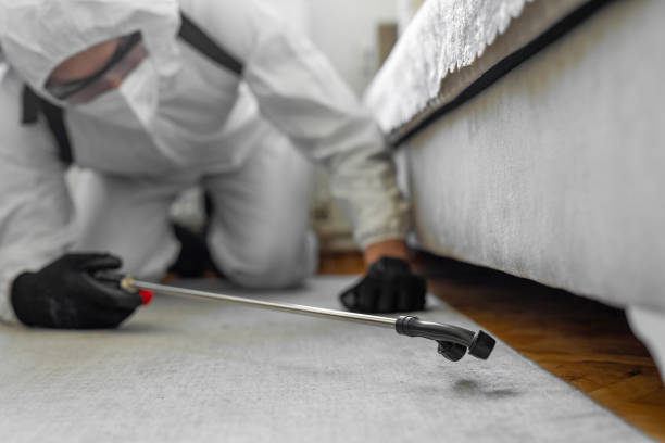Professional Termite Control technician working in Moundville, AL