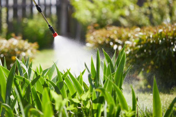 24/7 Emergency Termite Control experts in Moundville, AL
