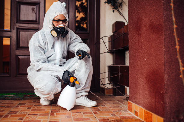 Reliable Termite Control contractor in Moundville, AL by Nex Pest Control