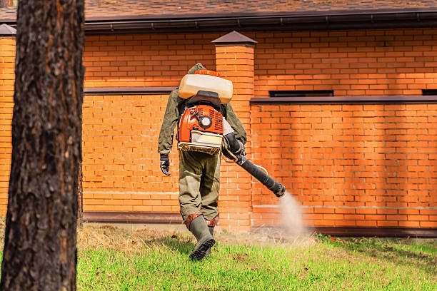 Trusted Bed Bug Control service in Moundville, AL - Nex Pest Control